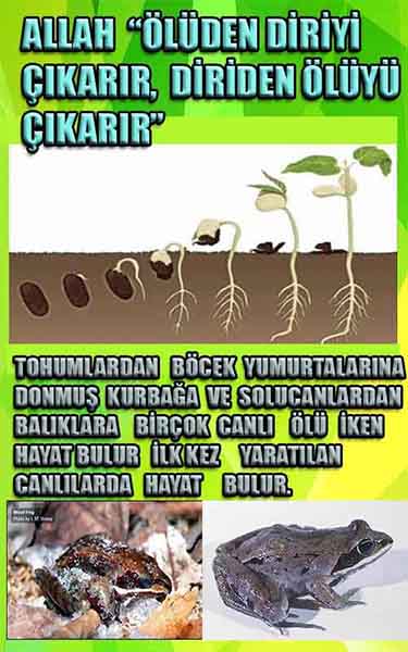 allahin varliginin delilleri, allahin delilleri, allah-delilleri, allahin varlıgının delilleri nelerdir?