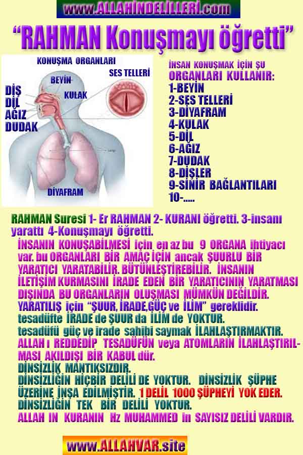 allahin varliginin delilleri, allahin delilleri, allah-delilleri, allahin varlıgının delilleri nelerdir?