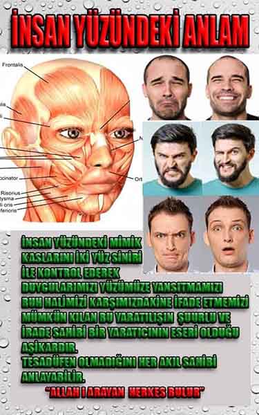 allahin varliginin delilleri, allahin delilleri, allah-delilleri, allahin varlıgının delilleri nelerdir?