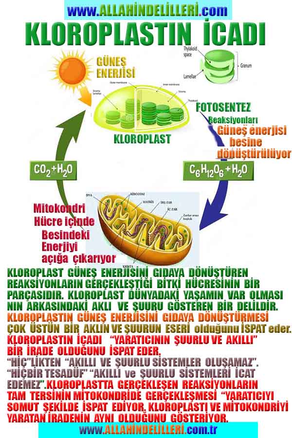 allahin varliginin delilleri, allahin delilleri, allah-delilleri, allahin varlıgının delilleri nelerdir?
